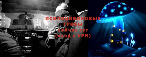 ГАЛЛЮЦИНОГЕННЫЕ ГРИБЫ Чердынь