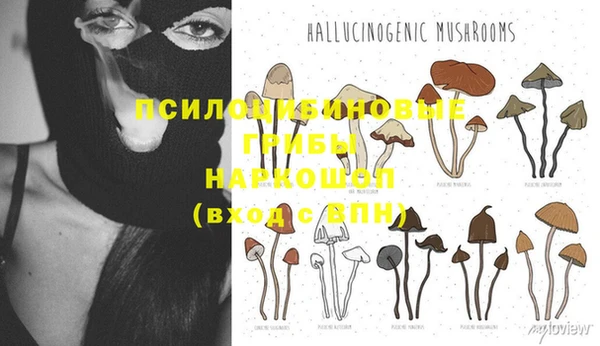 ГАЛЛЮЦИНОГЕННЫЕ ГРИБЫ Чердынь