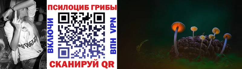 Купить  Новомичуринск  Псилоцибиновые грибы Magic Shrooms 