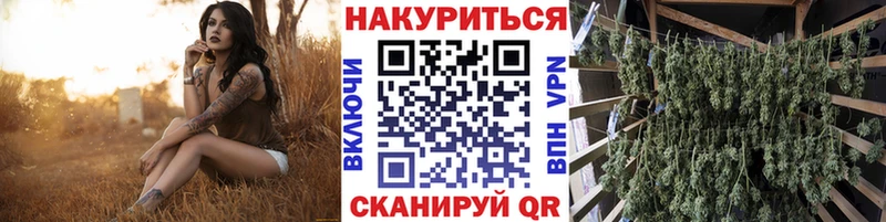 Каннабис Ganja  Купить закладки  Новомичуринск 